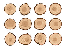 Tree Trunks, Wood Cut. Forest Tree Stump Log Cross-section Pattern, Firewood Woodcut Cartoon Vector Sections Set Or Pine Trunk Slice Texture. Timber Wood, Firewood Isolated Cuts With Plant Age Rings