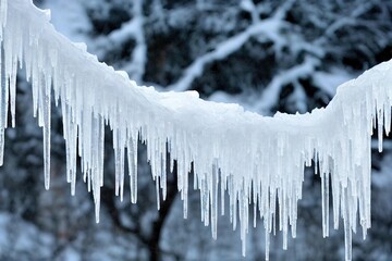 Sticker - Curved hanging white icicles on house against background of trees., created with generative ai