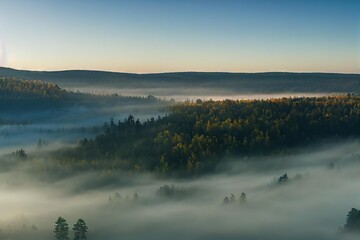 Poster - Forest morning fog spreads over the tops of spruce trees, created with generative ai