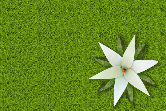 Wall Mural -  - Illustrazione 3D. Primavera, estate. Fiori, fiore su prato verde texture. Sfondo campo di erba con fiori colorati.
