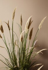 Poster - Spikelets and green stems in dried flowers bouquet of natural style., created with generative ai