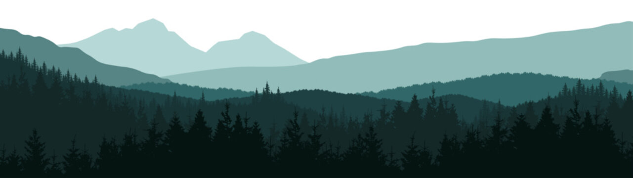 Fototapete - Forest woods hill mountains peak vector illustration banner nature outdoor adventure travel landscape panorama - Green silhouette of spruce and fir trees, isolated on white background