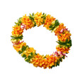 hawaii garland of yellow flowers - lei , isolated on transparent background cutout , generative ai
