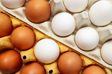 Ingredient for cooking dishes- eggs, top view