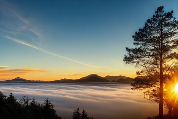 Canvas Print - Sunrise in quiet clear weather in mysterious misty forest., created with generative ai