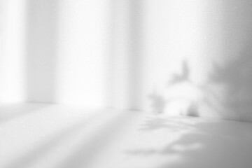 Fototapete - Abstract white studio background for product presentation. Empty room with shadows of window and flowers and palm leaves . 3d room with copy space. Summer concert. Blurred backdrop.