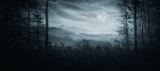 Fototapeta Natura - dark fantasy forest landscape at night with moon and clouds in the sky
