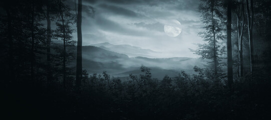 dark fantasy forest landscape at night with moon and clouds in the sky