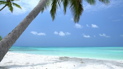 Poster - Pristine and bounty beach with coconut palm tree and turquoise sea. Tropical landscape. Nobody