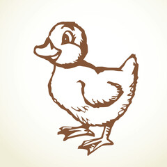 Sticker - Cute duckling. Vector outline drawing