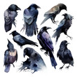 Watercolor Black Ravens, Set of Illustrations Isolated on transparent - Gothic Witchcraft Artwork created with Generative AI technology