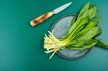 Poster - Ramson, bunch of wild garlic