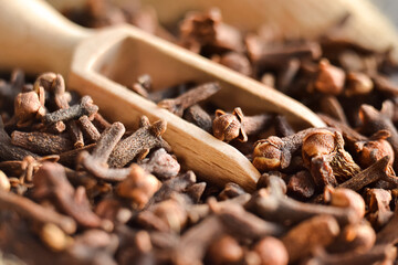 Wall Mural - Spices cloves for cooking. Close-up.