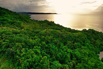 Sticker - Mangroves on the main island of Palau