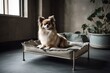 For branding and illustration purposes, an elevated dog cot bed. Generative AI