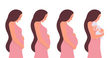 Pregnancy Stages. Beautiful Smiling Woman In The First, Second, And Third Trimesters Of Pregnancy And With A Newborn Baby. Vector Illustration In A Flat Style. Isolated On A White Background.