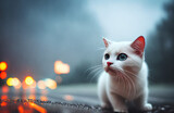 Fototapeta Na ścianę - white kitten. Blurred, cloudy background. Generative AI
