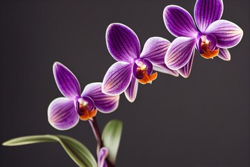 Wall Mural - Purple and purple orchid flowers on long stem on gray background., created with generative ai