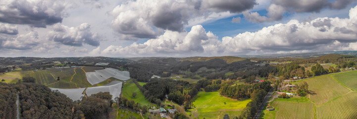 Canvas Print - Panoramic aerial view of vineyards at sunset