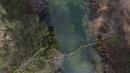 A small pond 2