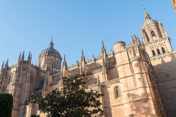 Wall Mural - Photo detail of part of the Salamanca catedral in Spain