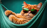 Fototapeta  - Cat in sunglasses relaxes on hammock, funny pet on vacation, generative AI