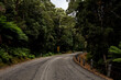 Tasmanian Driving