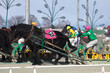 © itoh masako - ばんえい競馬（帯広市）