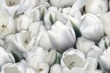 Fototapeta Tulipany - Spring White Tulip Tulips Flower Flowers Seamless Repeating Repeatable Texture Pattern Tiled Tessellation Background Image