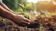 © DEER FLUFFY - ?People planting trees, working in community gardens, promoting local food production, and habitat restoration - all AI generated.