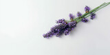 Fototapeta Lawenda - Floral Bliss: Captivating Lavender Flatlay for Health & Wellness. AI Generated Art. Wallpaper, Background. Concept Art with Whitespace for Beauty and Health.