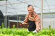 © Prathankarnpap - Smart farmer working in hydroponic farm, analyzing greenhouse science data or managing plant export orders on digital tablet