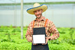 © Prathankarnpap - Smiling organic farmer holding digital tablet with blank screen standing in greenhouse. Smart agriculture and modern technology