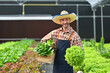 © Prathankarnpap - Smiling male farmer holding a wooden crate with green oak, rat oak, butterhead and green coral. Business agriculture concept