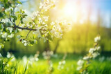 Fototapeta Natura - Beautiful blurred spring background nature with blooming glade, trees and blue sky