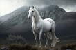 Beautiful white horse in the farm