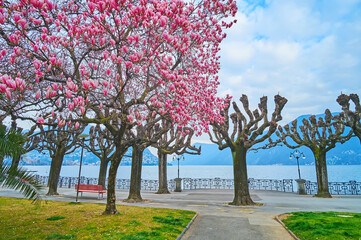 Canvas Print - The park alley on embankment of Lake Lugano, Lugano, Switzerland