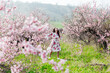 © dmitriisimakov - woman in peach garden rose trees nature parks walk