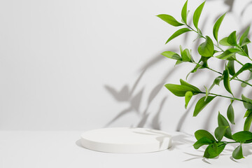 Empty white round podium, natural branches and green leaves with shadows on grey background. Pedestal for product presentation. Mockup for eco beauty cosmetic advertising. Copy space, front view.