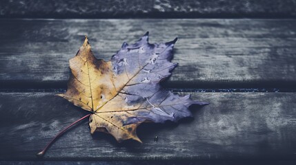 Wall Mural - leaves abstract background, close-up dry leaves on ground in brown, blue grey tone color of winter, Generative Ai
