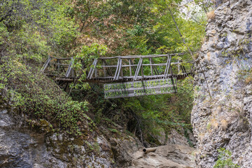 Wall Mural - Bridge over River Andaka River near Bacho Kiro cave near Dryanovo town, Bulgaria