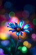 © MxCaptures - Bokeh Magic: A Flower with a Burst of Vibrant Colors - Generative Ai