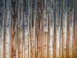 Fläche vertikaler Holzbretter mit Farbverlauf als Hintergrund
