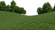 Realistic grass hill and forest tree line. 3d rendering of isolated objects.