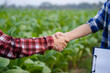 © NINENII - Asian farmers shake hands after successful business cooperation.