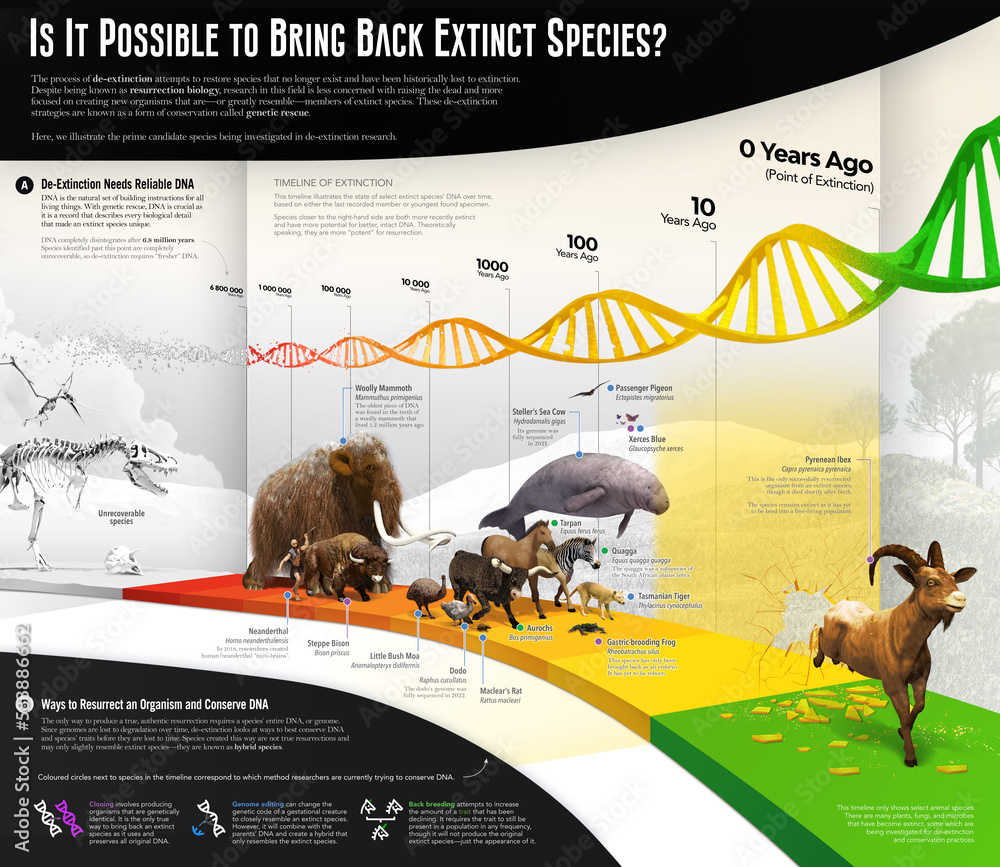 De-extinction, illustration Stock Illustration | Adobe Stock