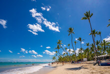 View Of Palm Trees And Sea At Bavaro Beach, Punta Cana