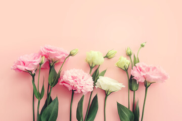 Wall Mural - Top view image of delicate pink flowers over pastel background