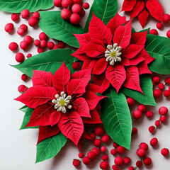 red poinsettia christmas background - poinsenttia on white background - Christmas Flowers - Generative AI