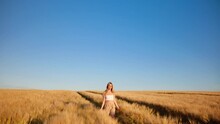 A young girl happily walking in slow motion through a field touching with hand wheat ears. Beautiful carefree woman enjoying nature and sunlight in wheat field